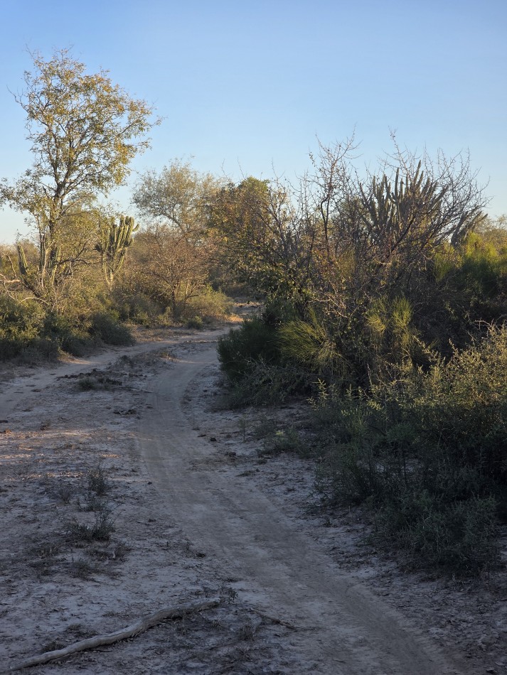 CAMPO EN VENTA A 20 KM CNIA. DORA-SGO  DEL ESTERO S/RUTA N. 34 - 947 HAS  