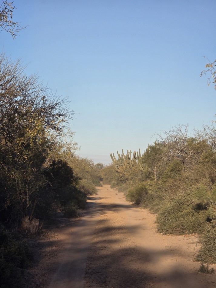 CAMPO EN VENTA A 20 KM CNIA. DORA-SGO  DEL ESTERO S/RUTA N. 34 - 947 HAS  