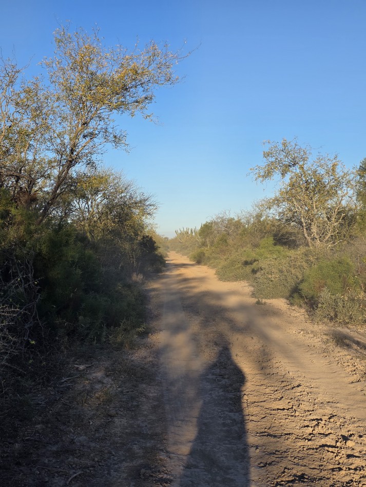 CAMPO EN VENTA A 20 KM CNIA. DORA-SGO  DEL ESTERO S/RUTA N. 34 - 947 HAS  