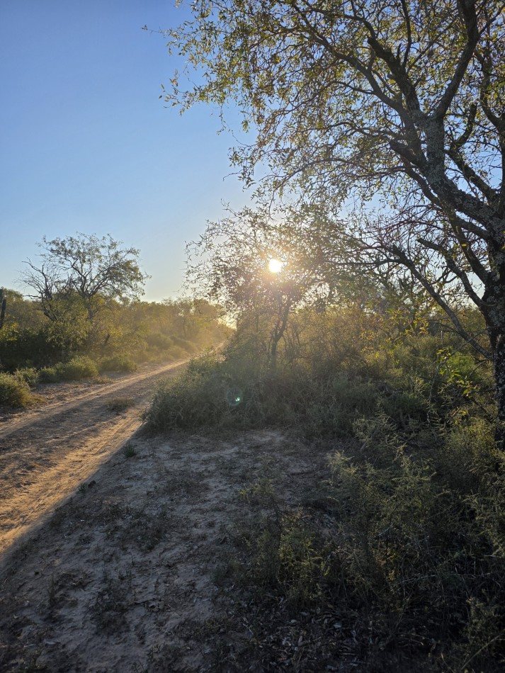 CAMPO EN VENTA A 20 KM CNIA. DORA-SGO  DEL ESTERO S/RUTA N. 34 - 947 HAS  