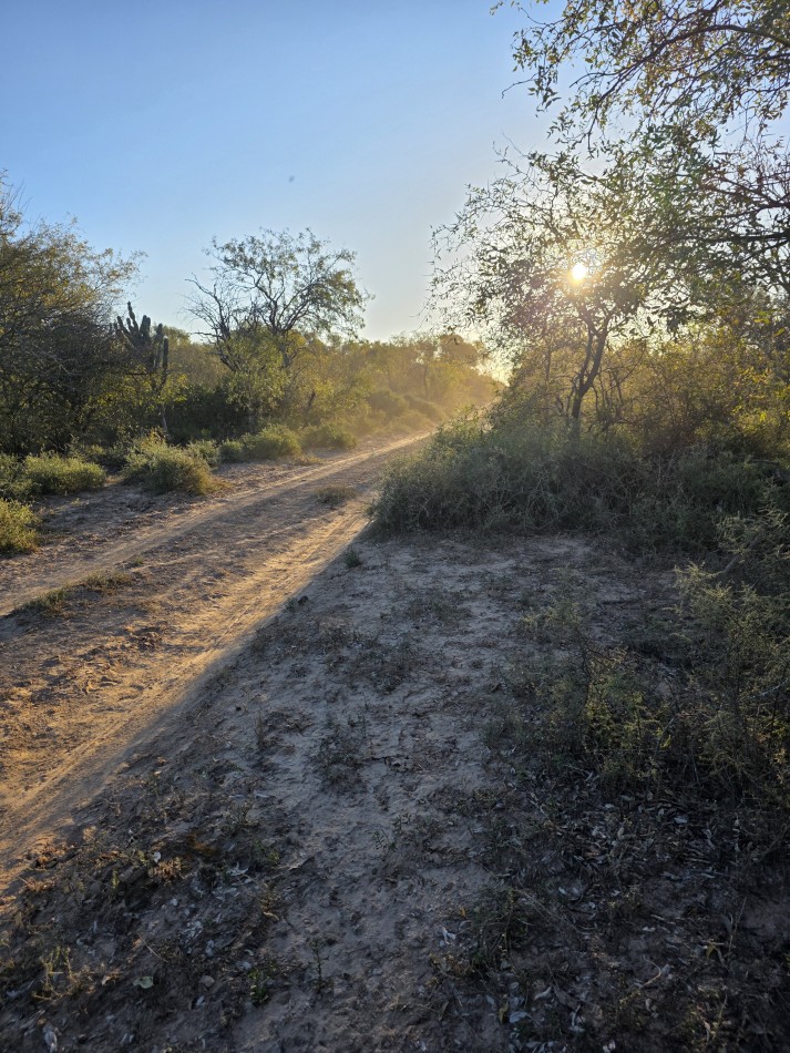 CAMPO EN VENTA A 20 KM CNIA. DORA-SGO  DEL ESTERO S/RUTA N. 34 - 947 HAS  