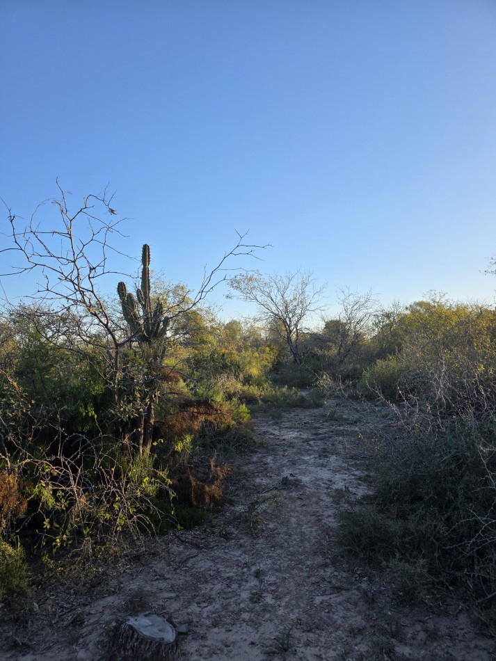 CAMPO EN VENTA A 20 KM CNIA. DORA-SGO  DEL ESTERO S/RUTA N. 34 - 947 HAS  