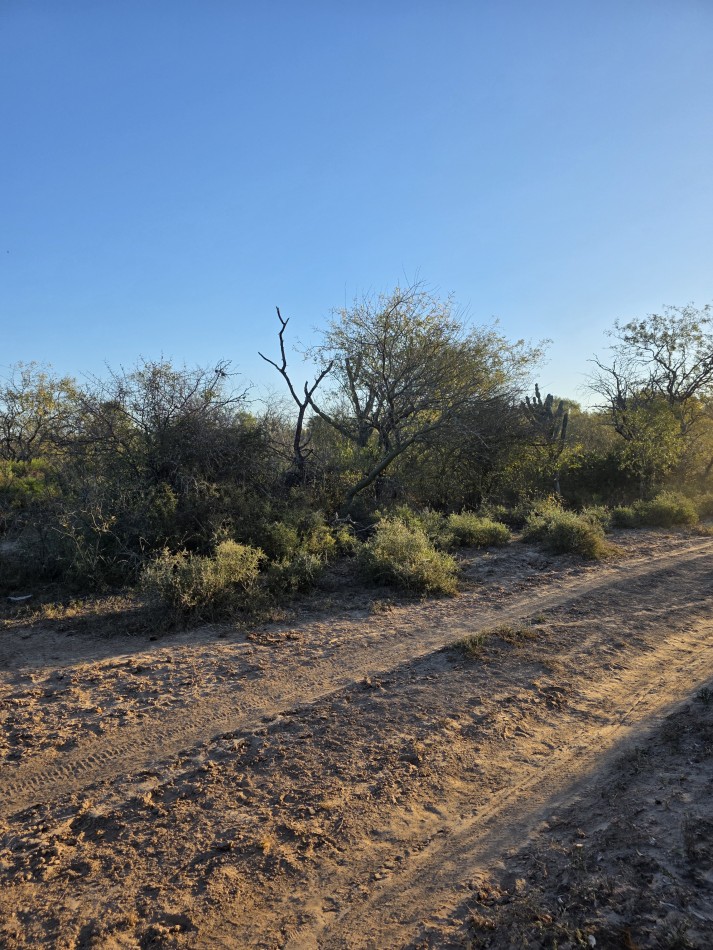 CAMPO EN VENTA A 20 KM CNIA. DORA-SGO  DEL ESTERO S/RUTA N. 34 - 947 HAS  