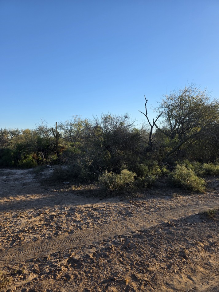 CAMPO EN VENTA A 20 KM CNIA. DORA-SGO  DEL ESTERO S/RUTA N. 34 - 947 HAS  