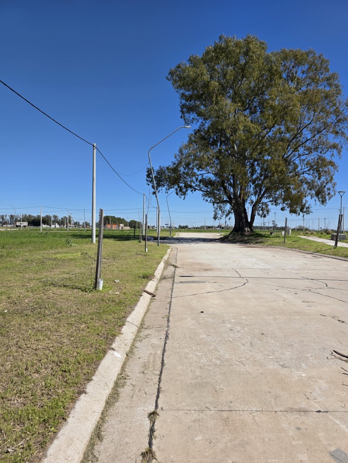 Lotes en venta Estacion Lagos - Barrio Abierto - 300 m2 - Todos los servicios - Distintas ubicaciones