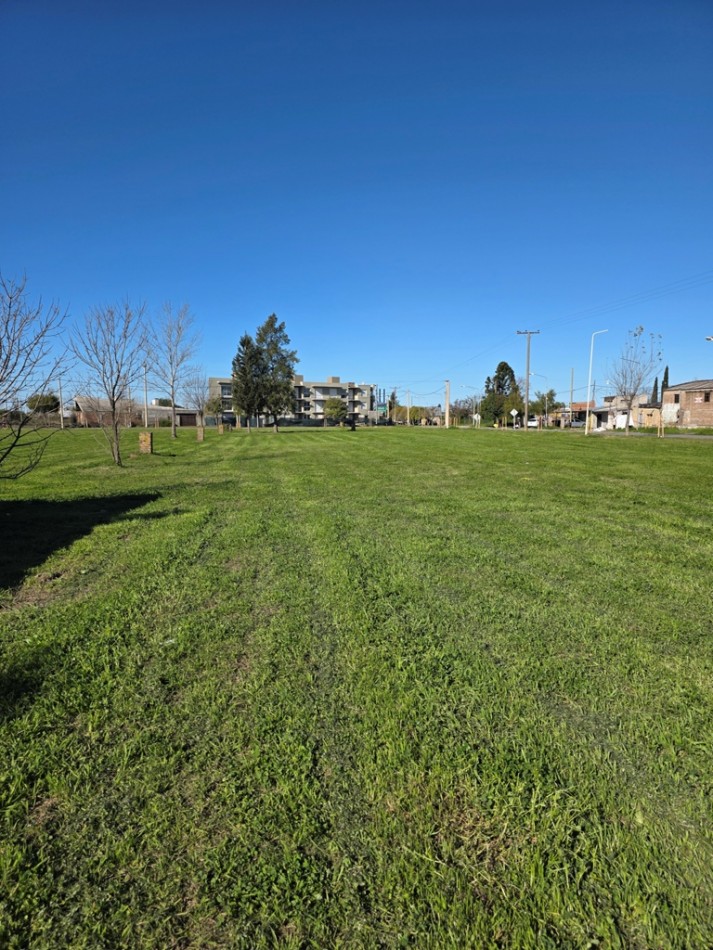 Venta de lotes s/Ruta 21 unicos para uso comercial o residencial.  3.047 m2  y 931,46 m2 juntos o separados