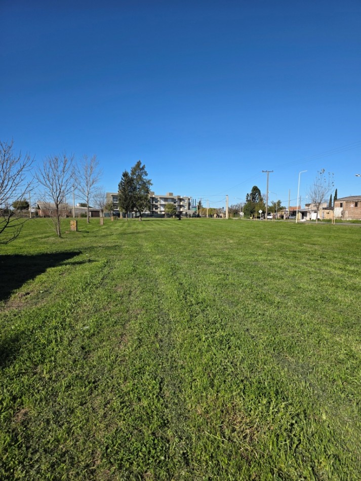 Venta de lotes s/Ruta 21 unicos para uso comercial o residencial.  3.047 m2  y 931,46 m2 juntos o separados