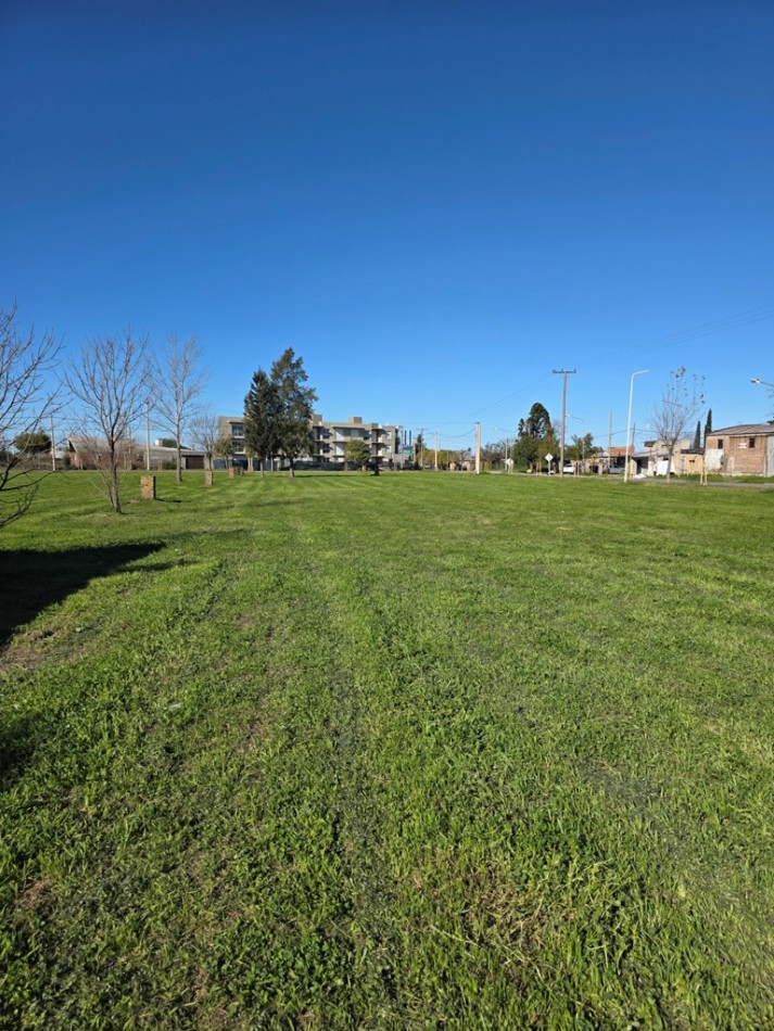Venta de lotes s/Ruta 21 unicos para uso comercial o residencial.  3.047 m2  y 931,46 m2 juntos o separados