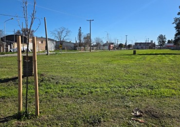 Venta de lotes s/Ruta 21 unicos para uso comercial o residencial.  3.047 m2  y 931,46 m2 juntos o separados