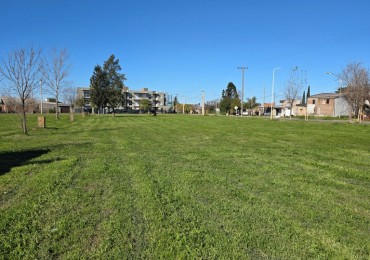 VENTA DE 2 LOTES SOBRE RUTA 21 - GENERAL LAGOS - USO COMERCIAL EXCELENTE VISTA 