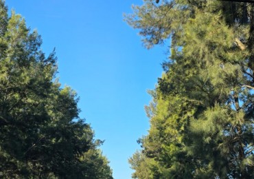 SE VENDE LOTE EN HARAS DE FUNES, CLUB DE CAMPO AMENITIES - SEGURIDAD 24 HORAS 1.100 M2 L68